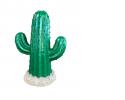 Cactus Proptt_582.jpg